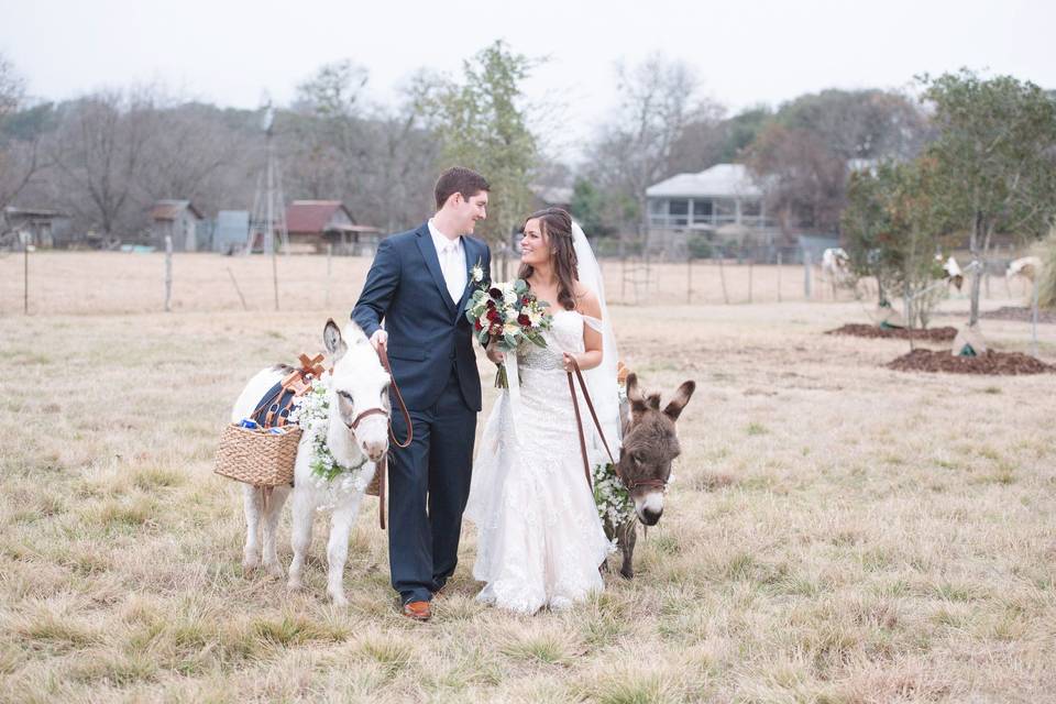 Gruene Estate