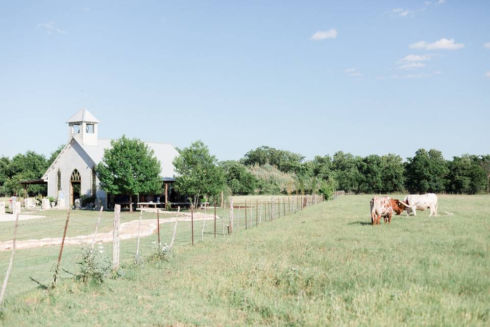 Gruene Estate