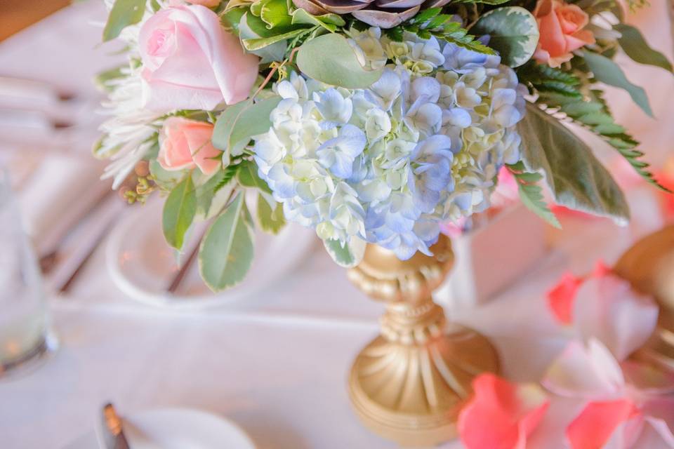 Succulent Centerpiece | Photo courtesy of Laura Meyer Photography