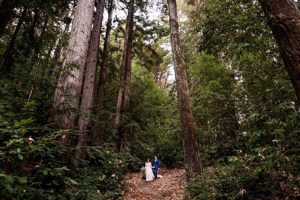 Sequoia Retreat Center Wedding