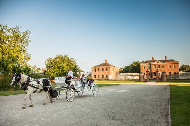 Horse drawn carriage