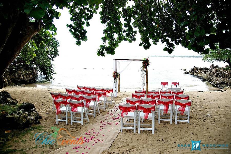 Wedding at LLantrisantt Villa in Negril