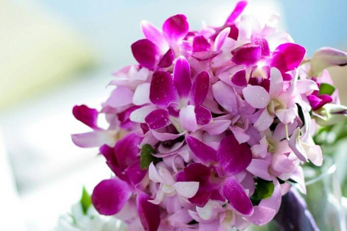 Purple Dendrobium bridal bouquet