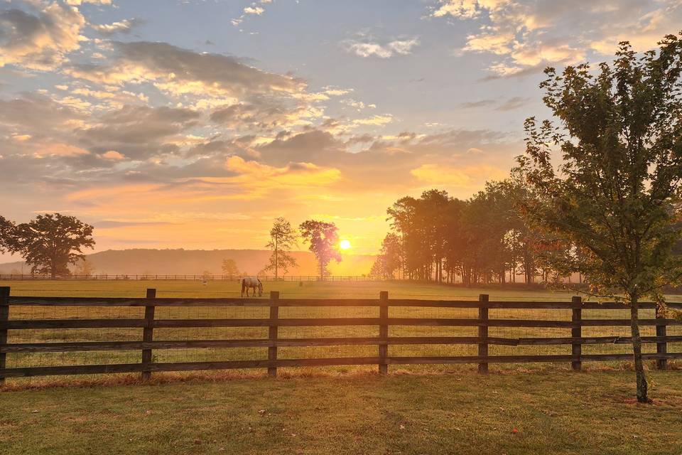 Front Yard Sunrise