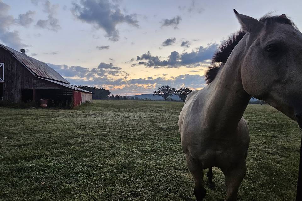 Front Barn