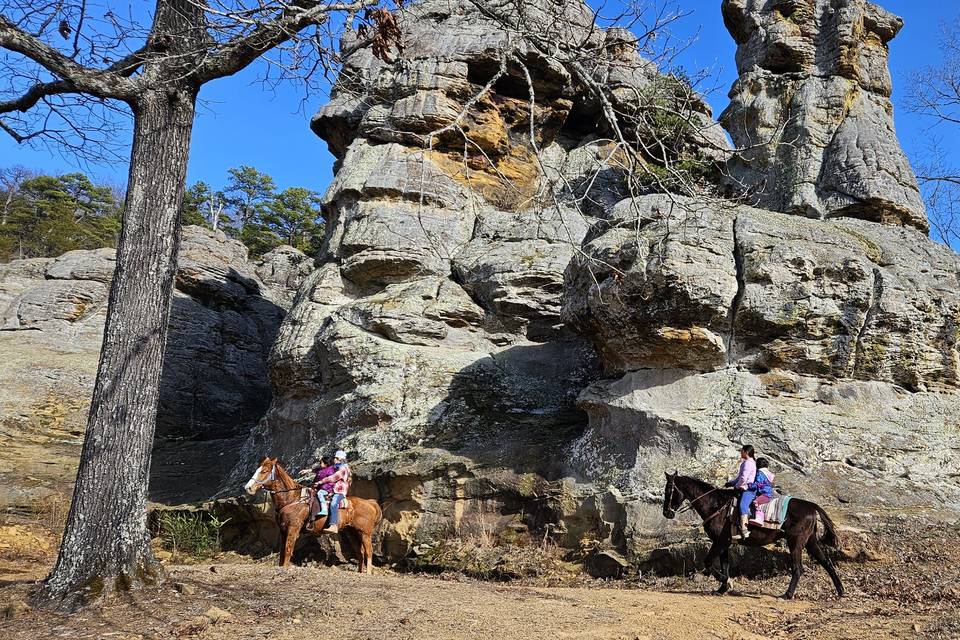 Horse Trail Ride