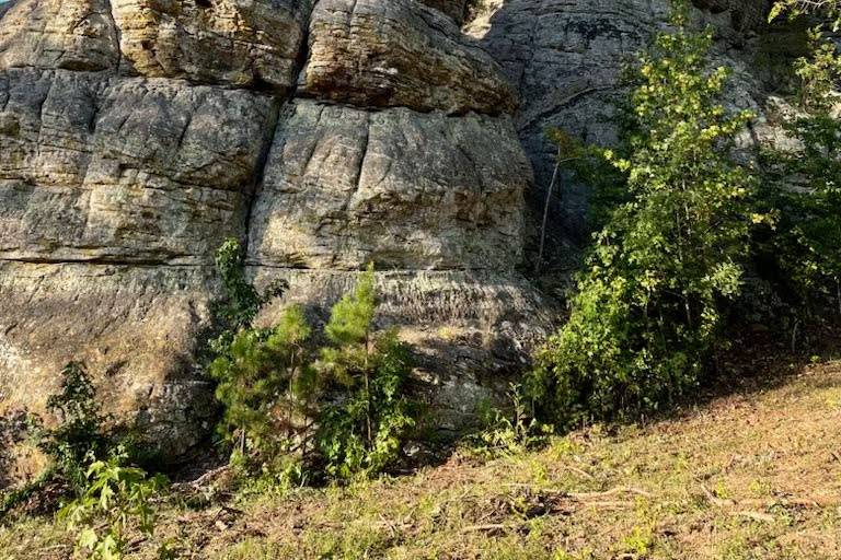 Bluff1