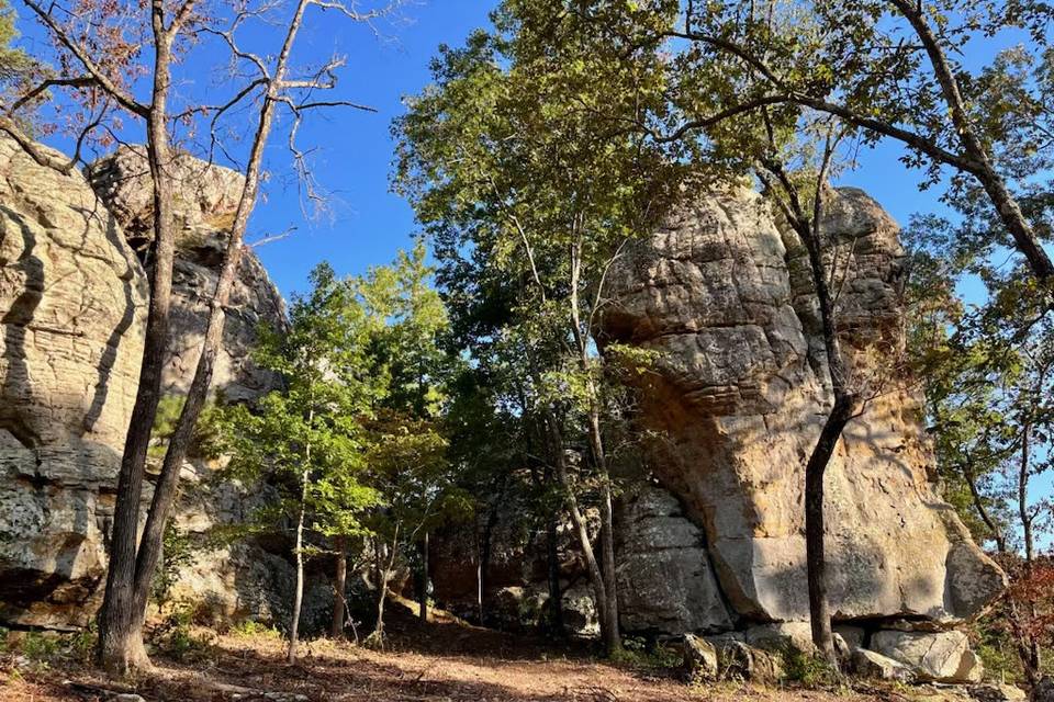 Bluff2
