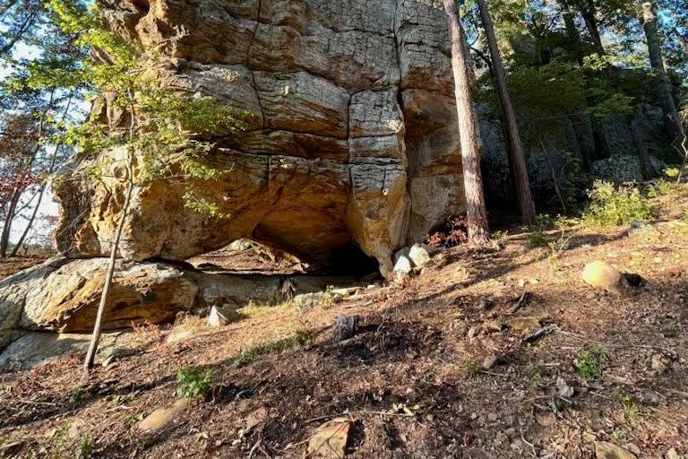 Williams Rock