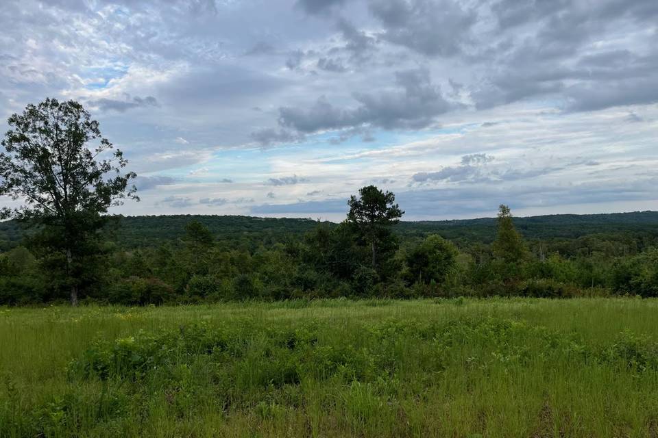 SouthBend Pasture