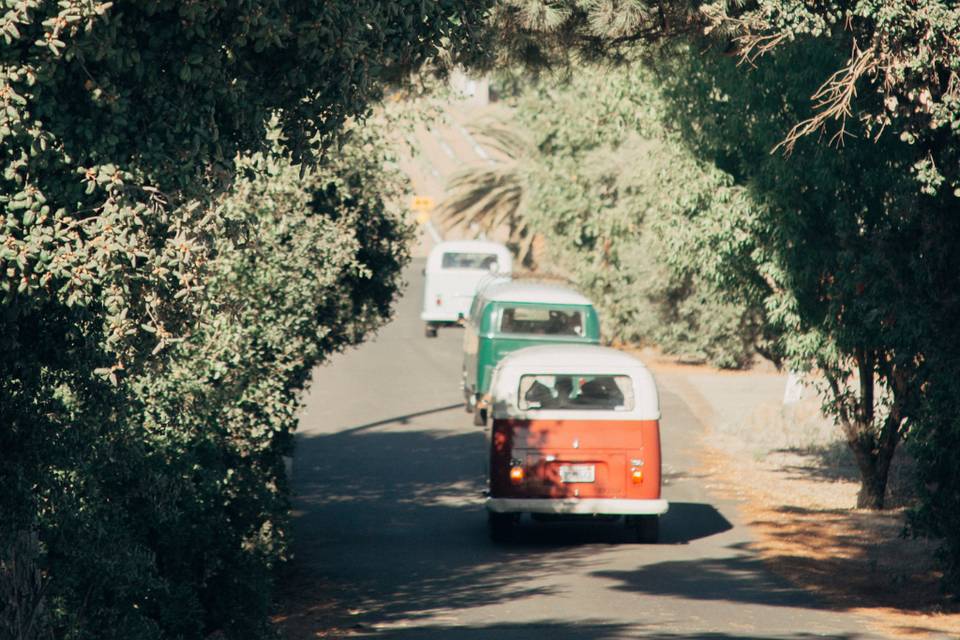 Cruising Wine Country