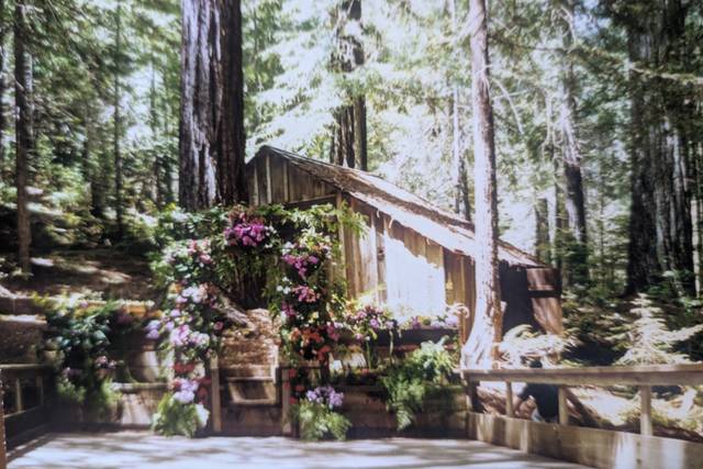 Redwood Grove and Gardens