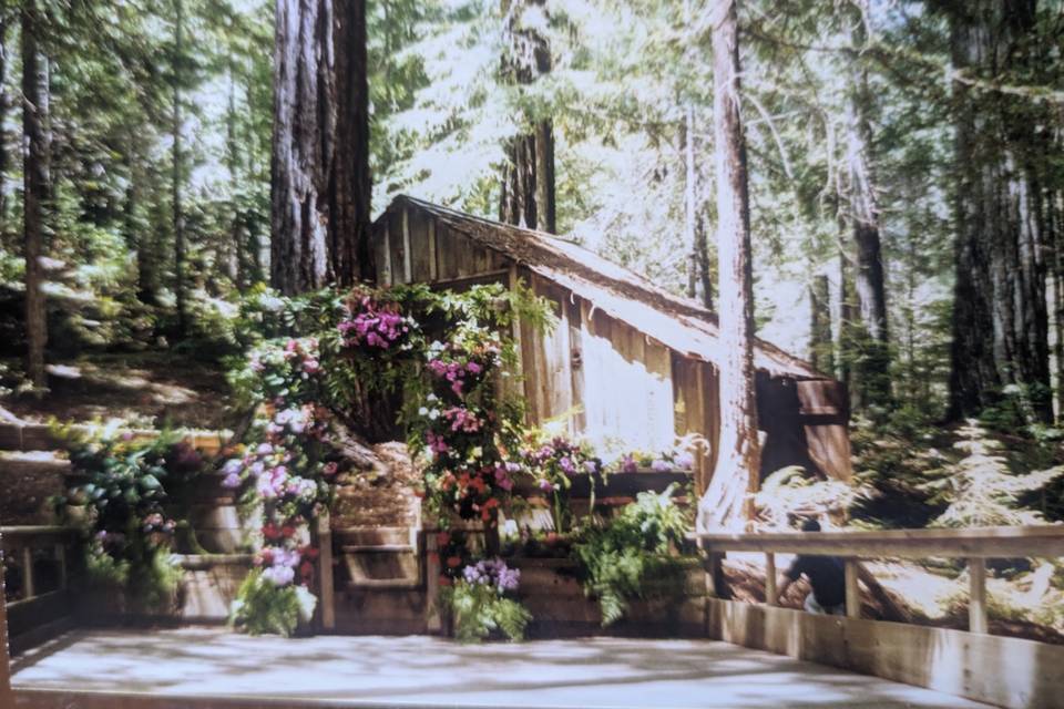 Redwood Grove and Gardens