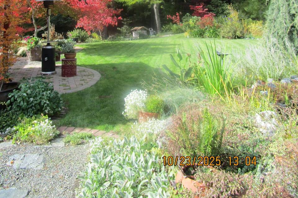 IMG_2938.jpeg