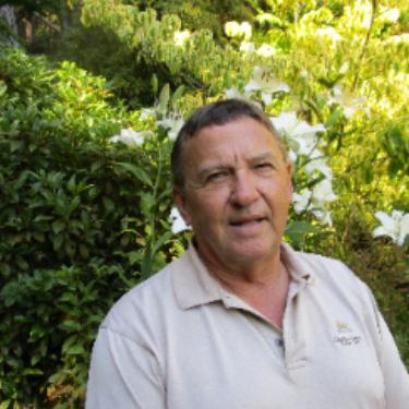 Art Harwood