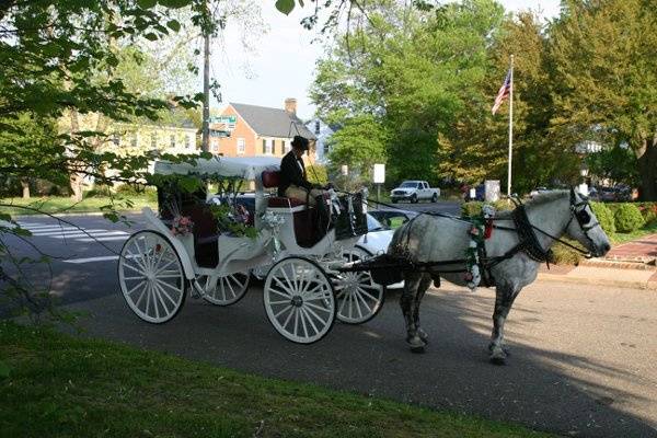 Williamsburg Manor Bed and Breakfast