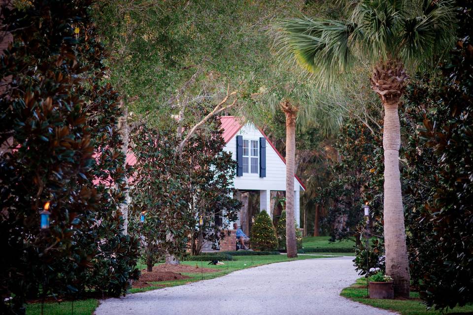 Driveway view