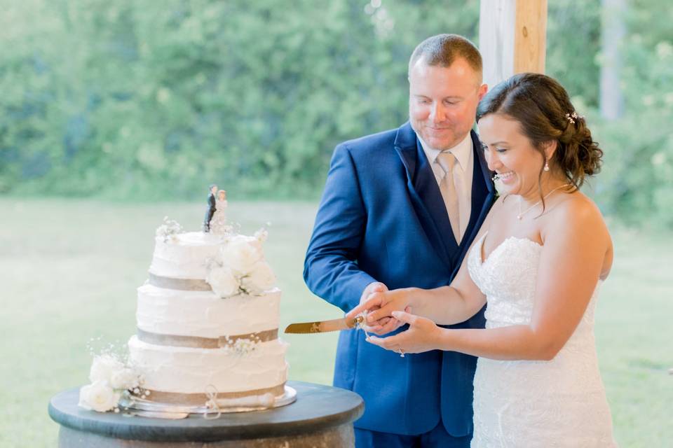 Cake Cutting