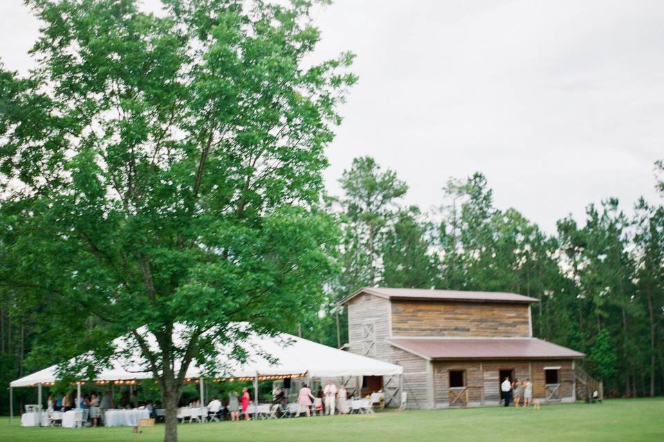 Outdoor reception area