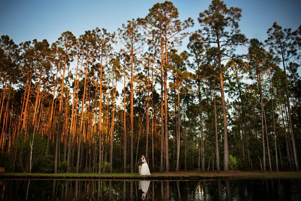 The Woodland Pond at HS