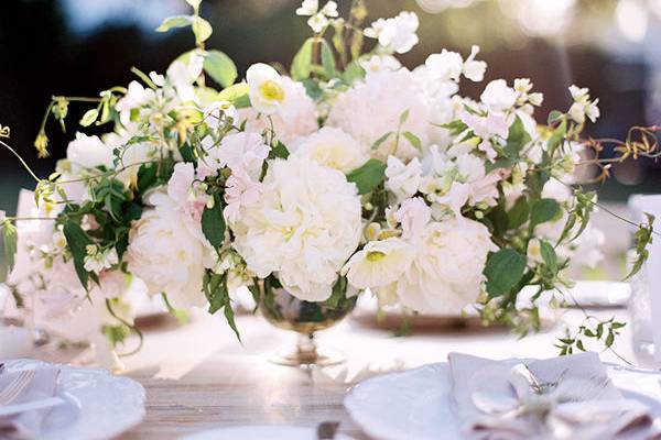 Krystle Akin Photography