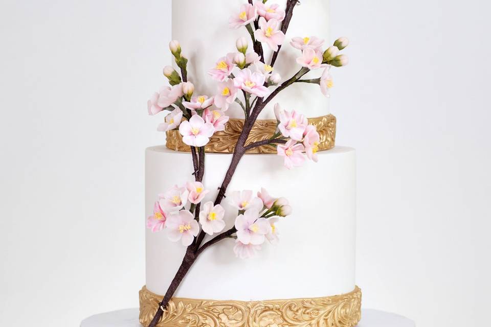 Cherry blossom