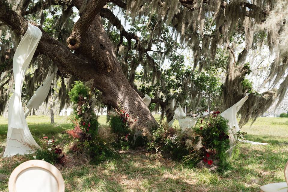 Pecan Grove