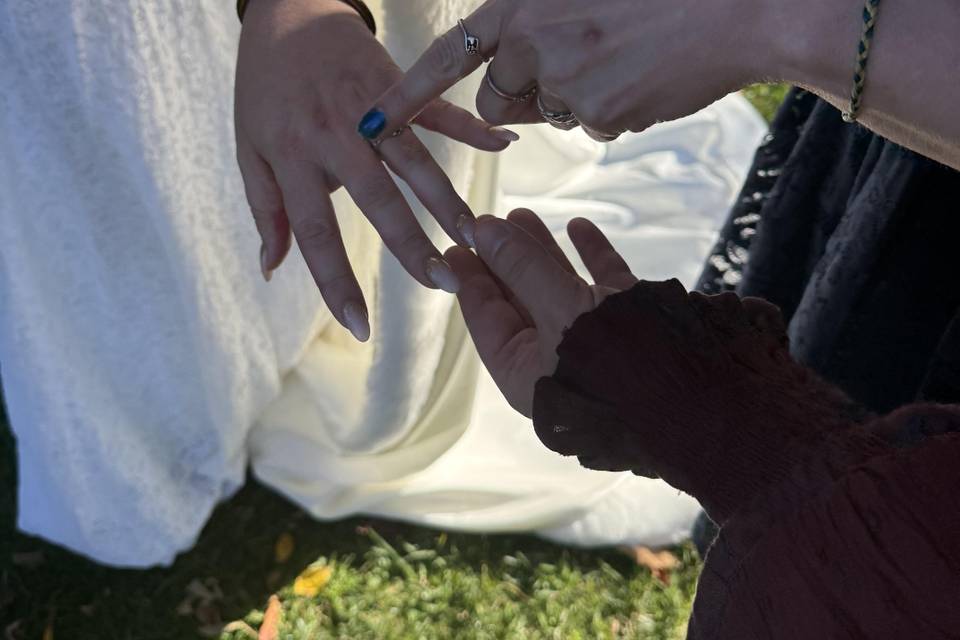 The rings