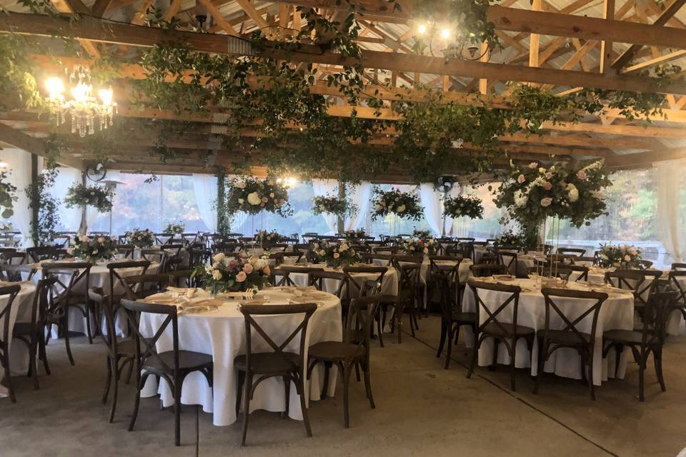 Greenery In Rafters