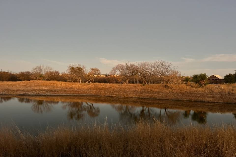 Pond View in Winter