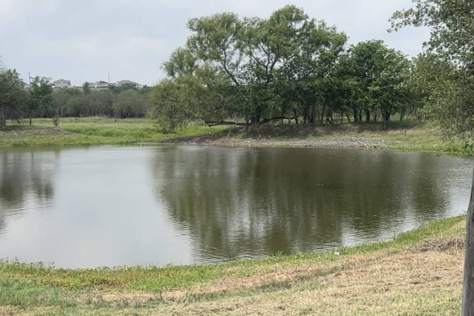 Pond View