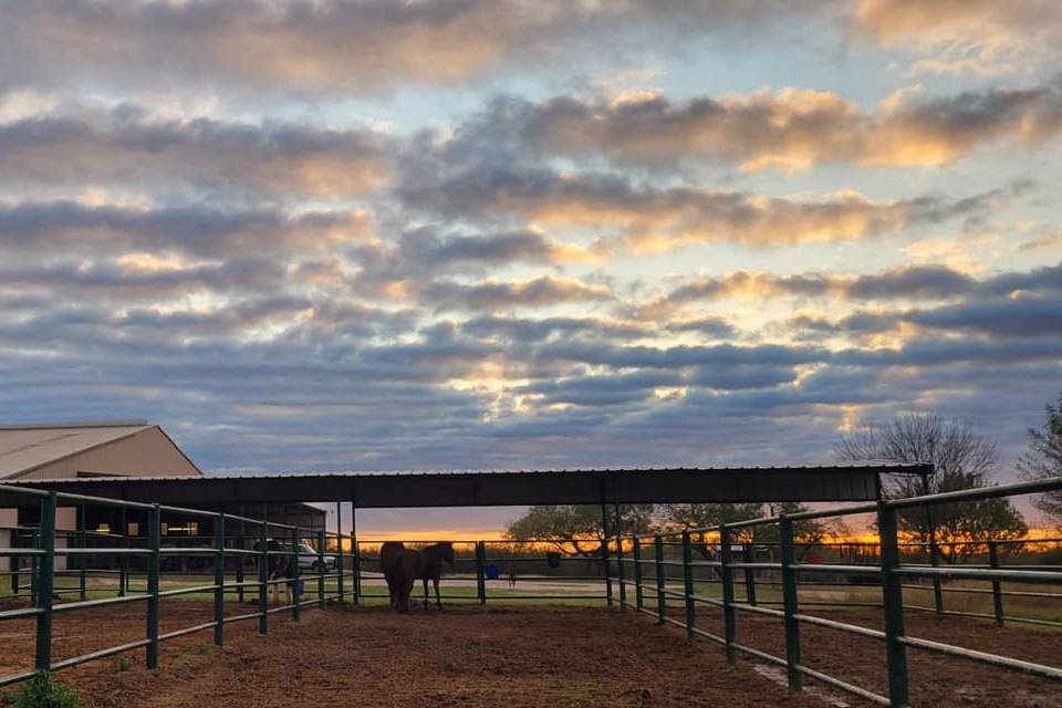 Horse Paddocks