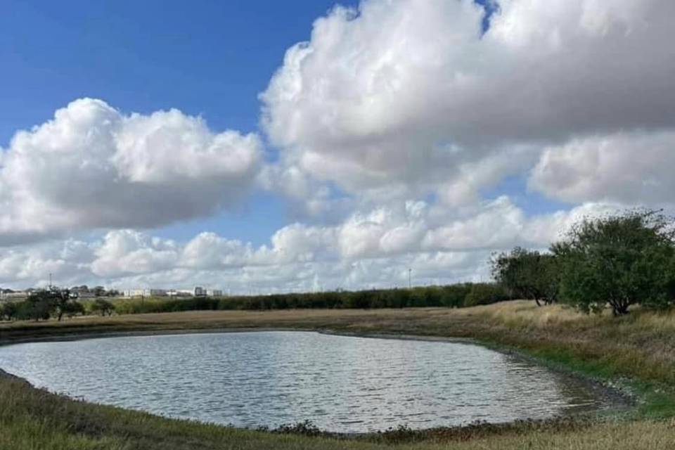 Pond seen from road entry