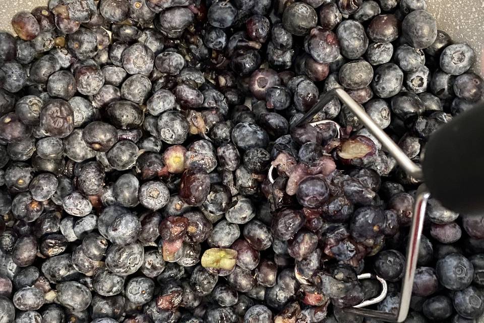 The freshest of blueberries