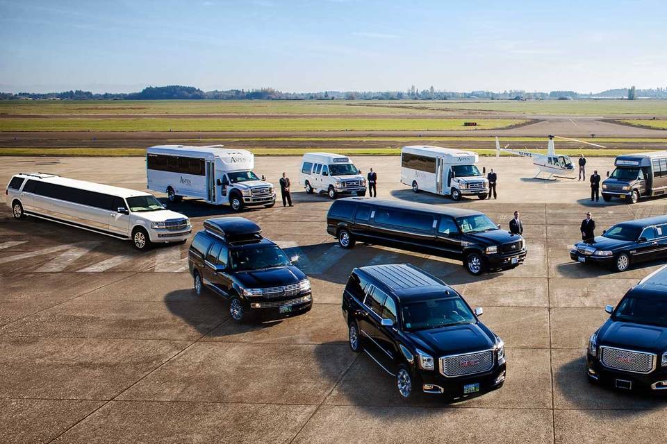 Aspen Limo Tours