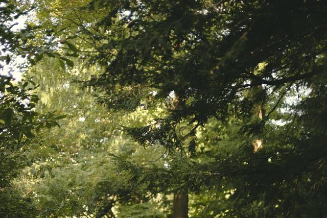 DSC_3243.jpg