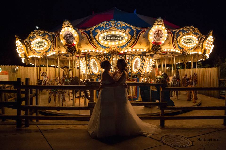 Zoo Carousel wedding