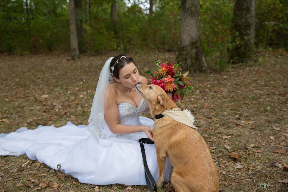 Bride kissing Dog