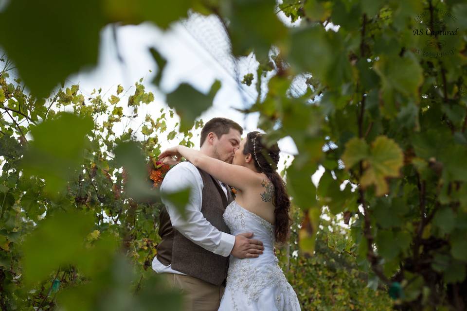 Kissing in vineyard