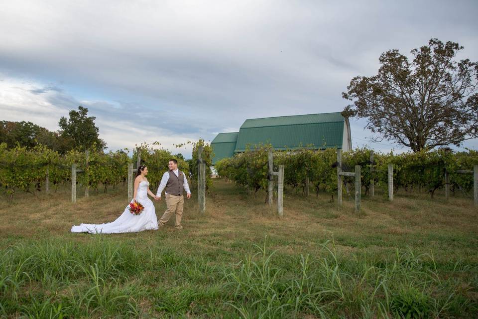 Vineyard Wedding