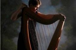 Celtic Harp Music by Anne Roos