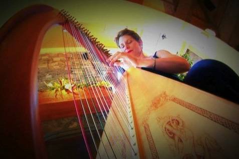 Celtic Harp Music by Anne Roos