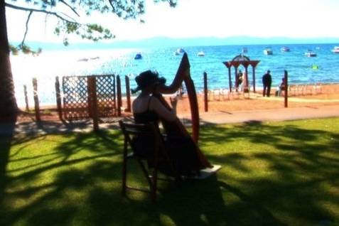 Celtic Harp Music by Anne Roos