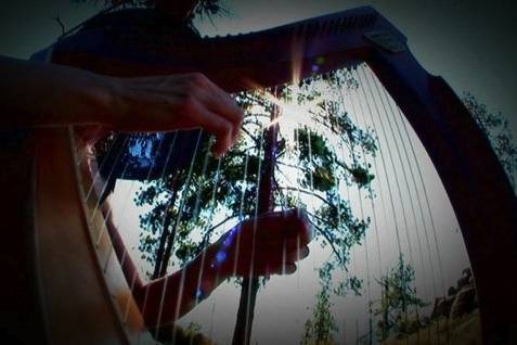 Celtic Harp Music by Anne Roos