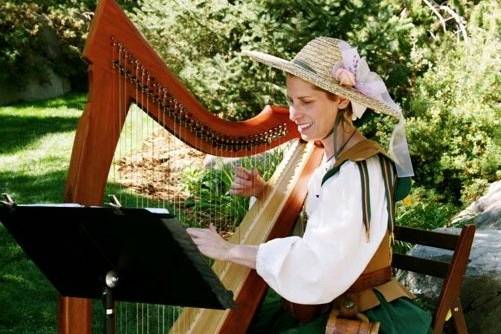 Celtic Harp Music by Anne Roos