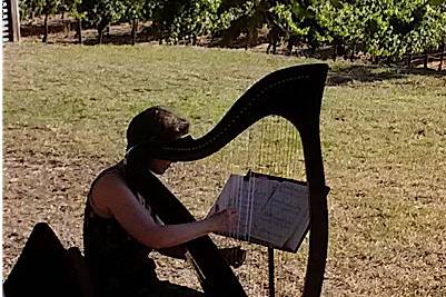 Plying by the fields