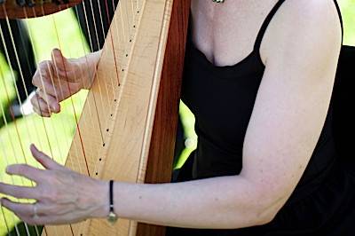 Celtic Harp Music by Anne Roos
