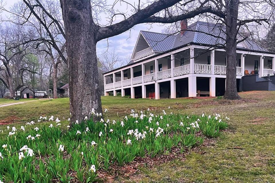 Auburn B&B at Shoofly Farm