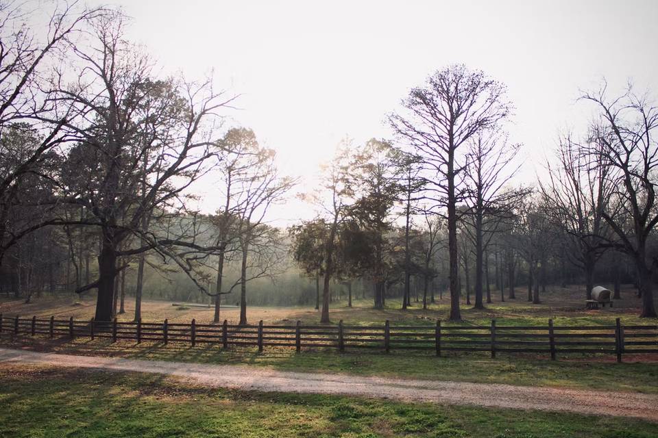 Auburn B&B at Shoofly Farm
