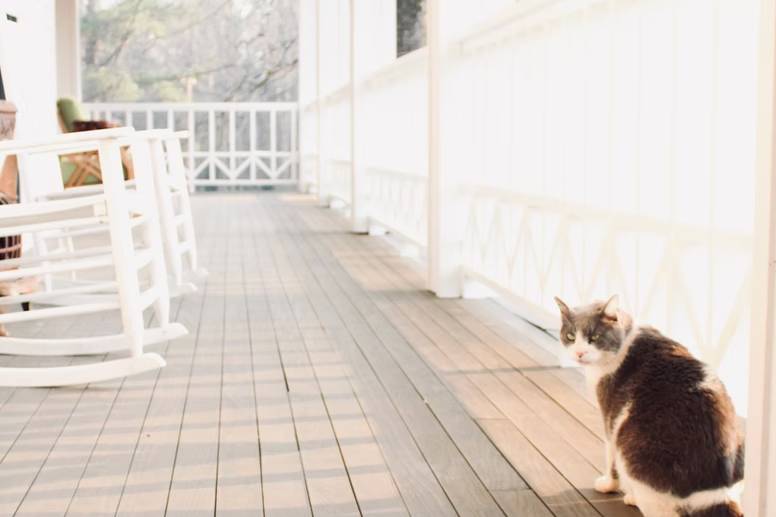 Auburn B&B at Shoofly Farm